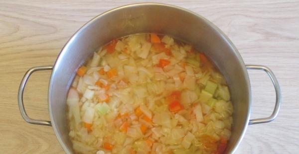 Bonn soup, recipe with photo. Preparing Bonn soup for weight loss