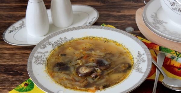 Soup with mushrooms in the multicooker, recipe with photo. How to cook frozen mushroom soup in the multicooker?