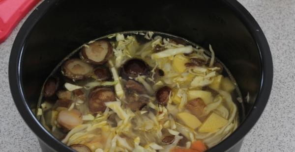 Soup with mushrooms in the multicooker, recipe with photo. How to cook frozen mushroom soup in the multicooker?