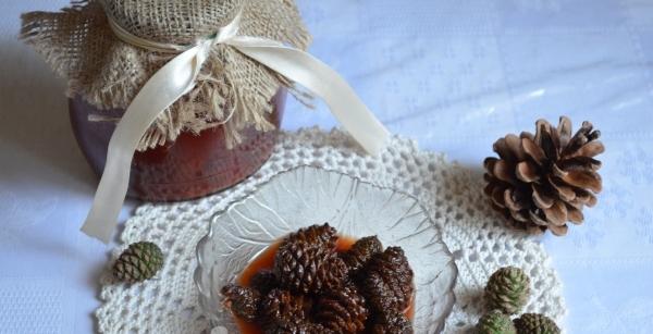 Young pine cones jam, recipe with photo