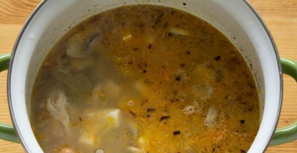 Cheese soup with mushrooms - recipe with photo step by step. How to cook soup with mushrooms, melted cheese and chicken?